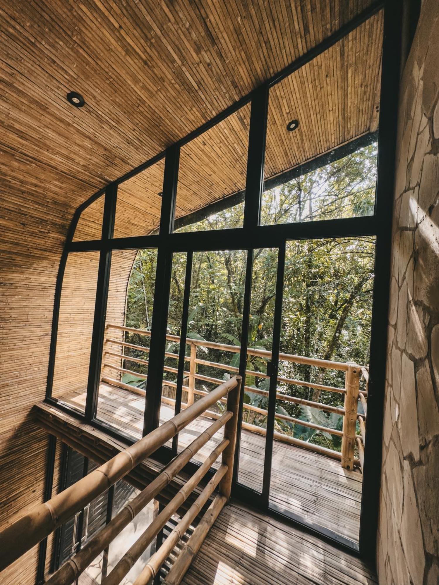 Cabana De Bambu En La Selva Palenque Exteriér fotografie